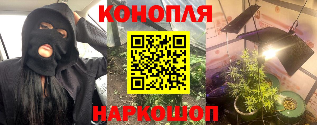 Конопля Bruce Banner Полысаево